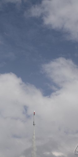 2013 Svojek Mirek Topinka